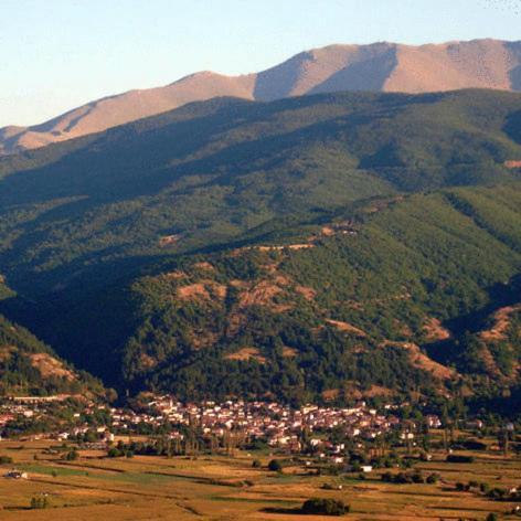 Villa Kastanodasos Emporio (Kozani) Exterior foto