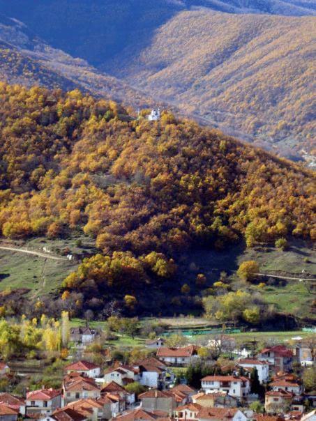 Villa Kastanodasos Emporio (Kozani) Exterior foto
