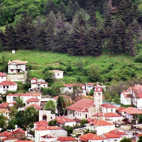 Villa Kastanodasos Emporio (Kozani) Exterior foto
